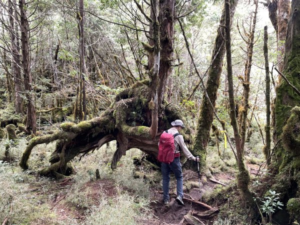 魔幻森林三星山與三星池1658314