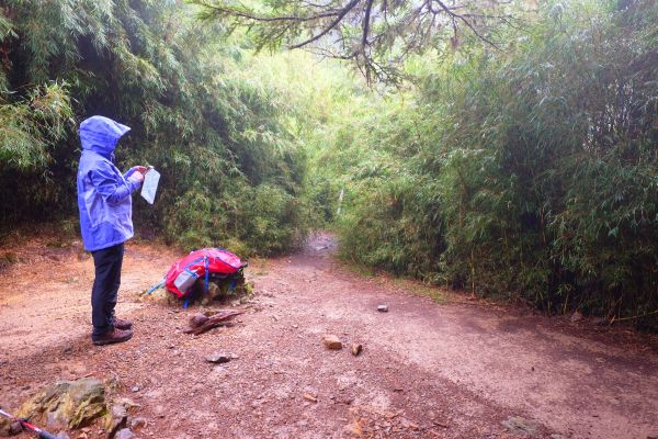 迷霧飄逸池有山392058