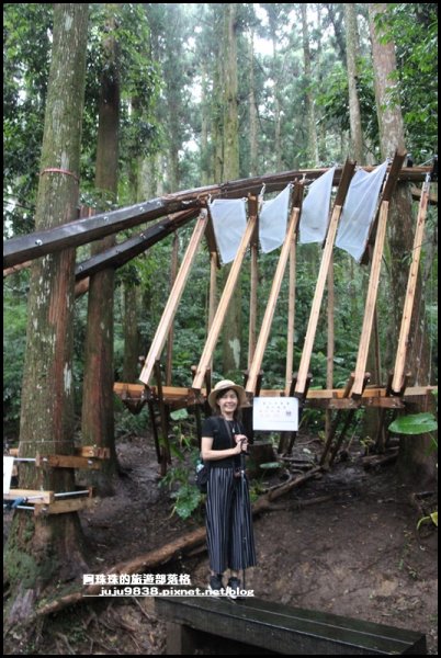 東眼山打卡新亮點森林裡的木構裝置藝術1021826