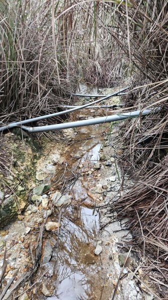 20260211庚子坪溫泉-赤石六山2997590