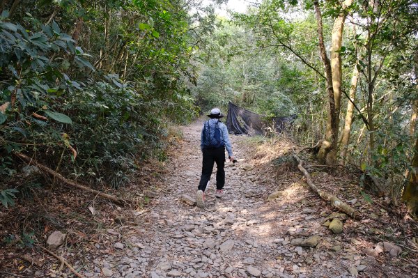 觀望山(德文山)2736171