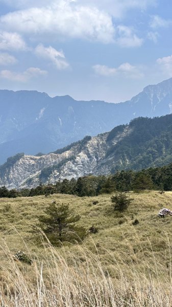 合歡東峰、小奇萊賞玉山杜鵑2542738