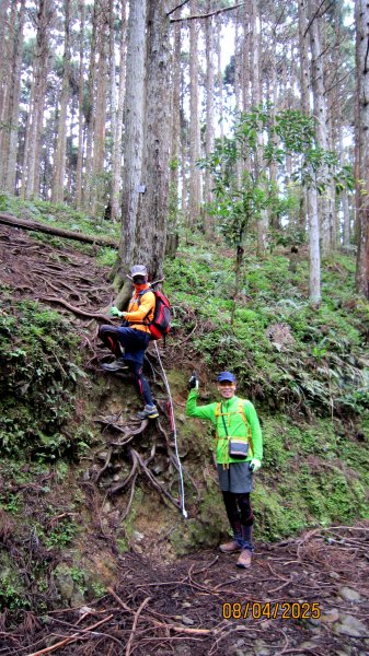 【油羅山/露營】 仙境舒活健走，雲端徜徉野趣！2887908