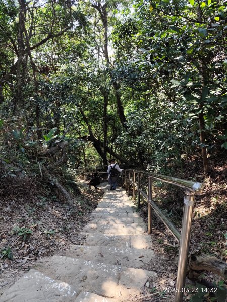 【臺北大縱走 5】碧山巖→忠勇山越嶺步道→金龍產業道路→圓明寺步道→鄭成功廟步道→文間山→劍潭山步道2744832