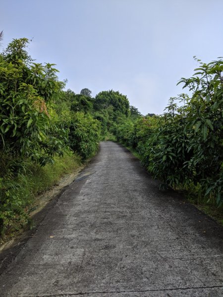 【高雄】小崗山, 崗山之眼790708