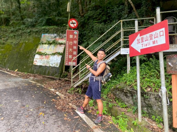 南庄.蓬萊溪護魚步道.四十二份坪步道.小東河步道【差點一事無成的七月暑假】2849357