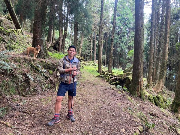 兒玉山.東水山.特富野古道【雨季來與不來的矛盾】2506108