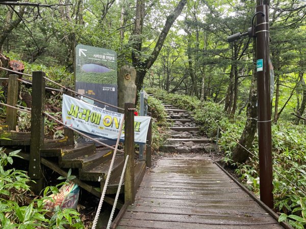 1140811 KR 漢拏山杜鵑花田避難所-紗羅岳觀景臺2860169