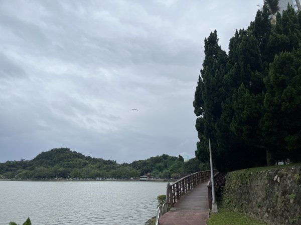 [臺北健康大穀東-23/34] 2023_1021 碧湖公園步道2332507