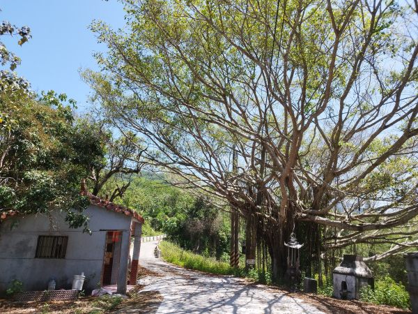 [高雄杉林][四]下寮、茄苳湖山、獅子山、蜈蜞潭、蕉芭英山、檳子崙尾