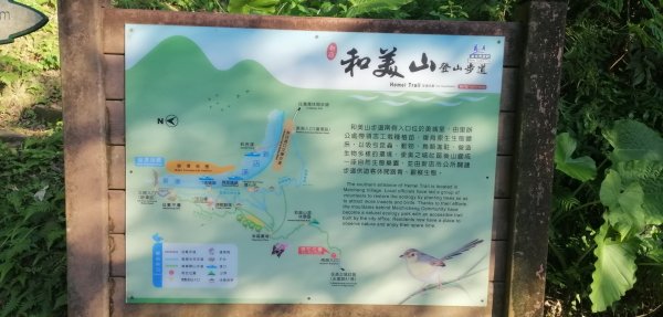 新店小獅山-和美山步道1093322