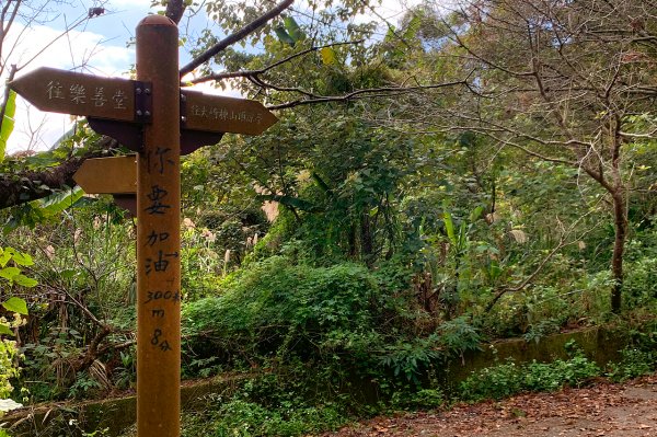 新竹橫山｜大崎崠古道｜冬日暖陽．橫山古道散策指南1574373