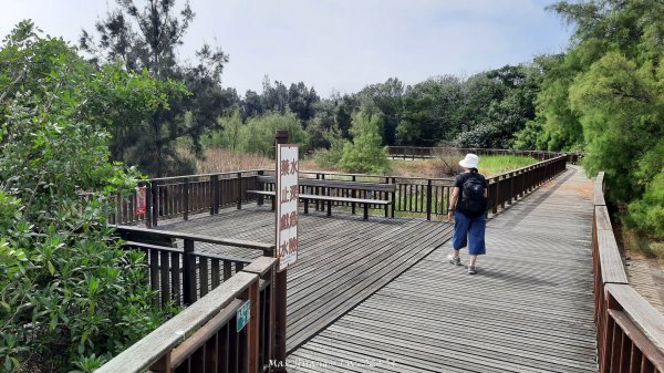 《嘉義》國家級濕地｜東石鰲鼓濕地森林園區202410272638480