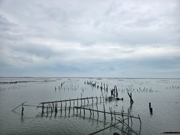 七股鹽田海堤觀夕步道3138835