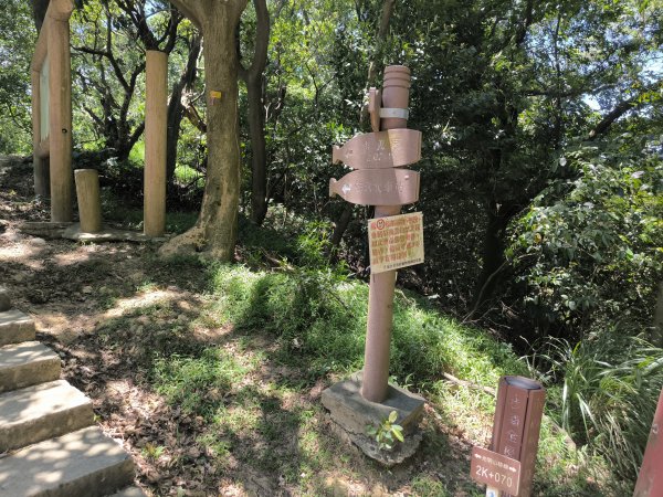 20250815微笑山線大棟山系百年大榕樹段2859923