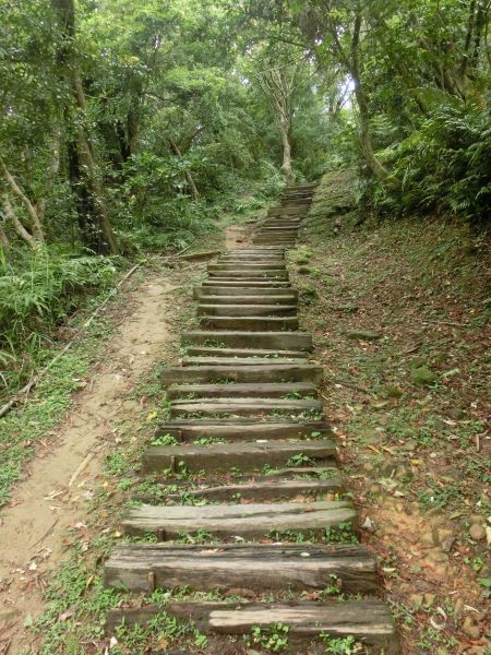 銀河洞瀑布．待老坑山．樟湖步道127904