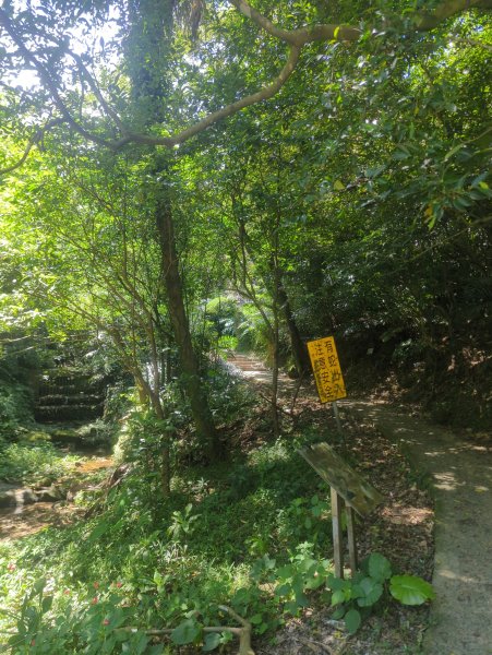 2026.08.29－龍崗步道&槓子寮砲台3114341