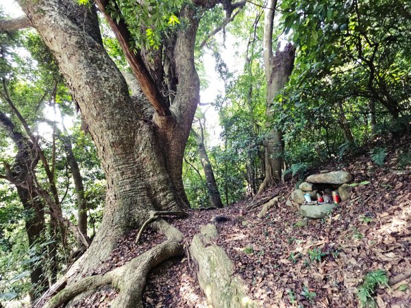 三段崎古道-2025森遊竹縣皮皮獅探險隊2890101
