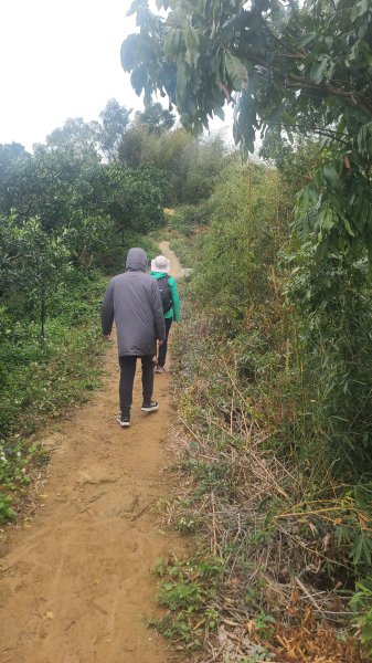 2025-0208聚興山小百岳2710896