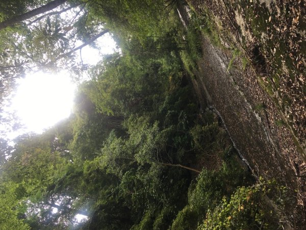 分遣所、斜壁2774333