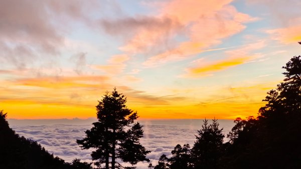 玉山北/西峰（排雲雲海/夕陽/下雨）1496195