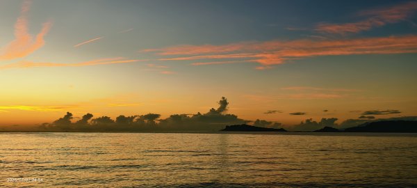 天龍國阿伯的日常-雲山水花鳥蝶  #龜島曉日  #牡丹蓮 #香水蓮  #手機拍攝 賞蝶趣 7/2&32826057