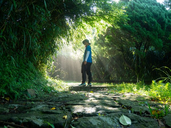 【行腳陽明山】初夏裡蒼翠欲滴的環七星山與百拉卡公路人車分道2188693