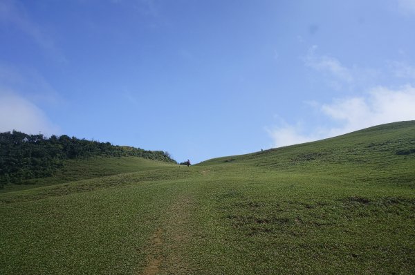 灣坑頭山 桃源谷步道 連走2034749