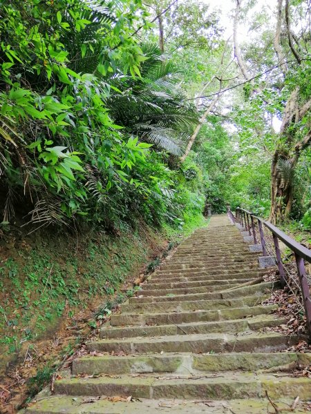 山風徐徐涼如秋。 編號29小百岳~獅頭山743901