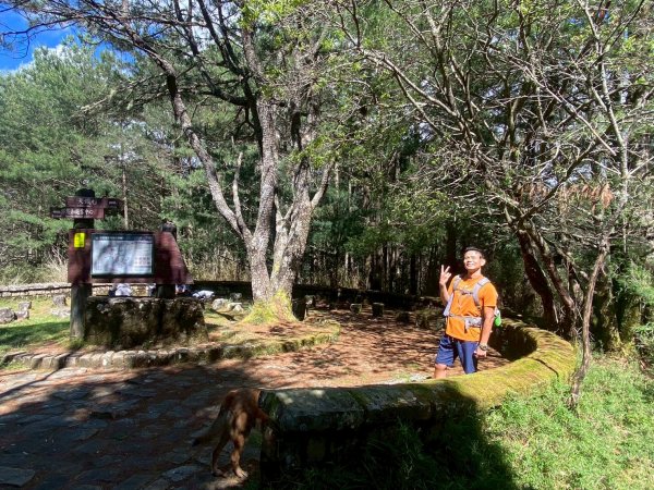 東埔山+東埔大草原步道【這裡的夏天冷颼颼】2826498