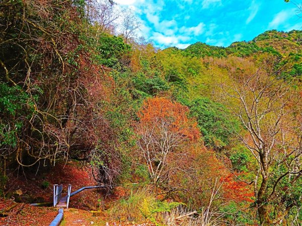 阿里山尋石山，五彩繽紛的石山引水道792552