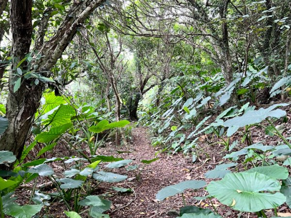 雷霆峰環走基隆山1692667