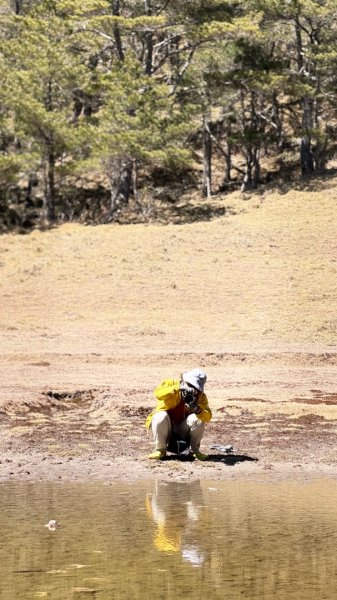 南二段 2026 03/12-17 六天五夜3018257