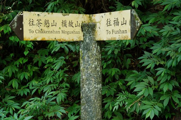 新北 烏來 山車廣山、檜山2567417