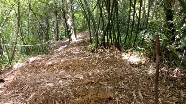 基隆市三角洲嶺山-三角洲嶺北峰-池塘-獅球嶺東砲台山-獅球嶺-獅球嶺北峰-劉銘傳隧道3067302