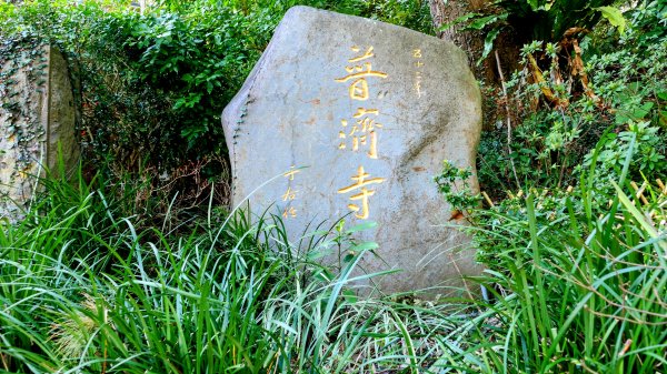 《蝶戀花・善光寺禪門櫻花》2709755
