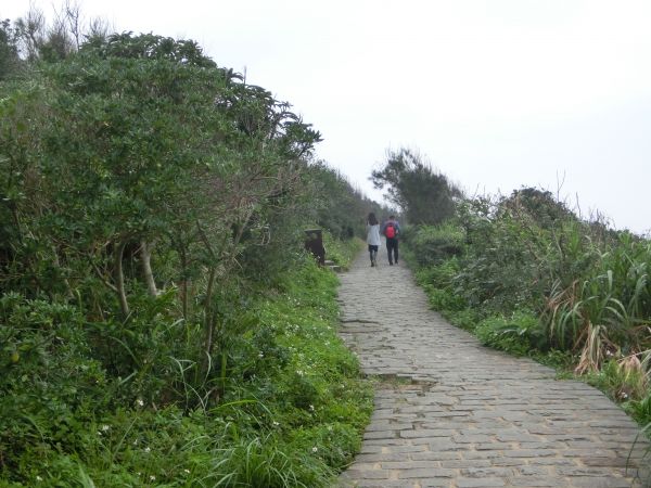 野柳岬山．地質公園102044