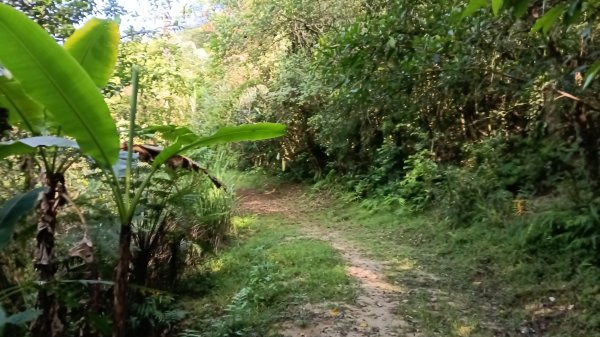 平溪區東勢格古道-咸豐嶺烽火台-峭壁雄峰-三抱竹鞍-白石後仙洞-東勢格古道P字走3126882