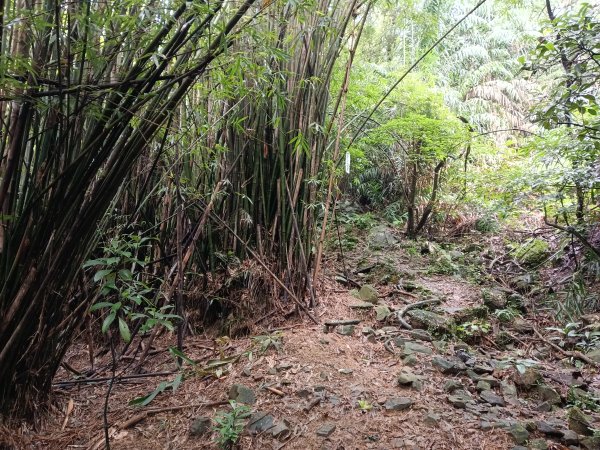 頭城鎮石城車站+隆嶺越嶺古道+隆嶺溪畔古道+福隆車站3002272