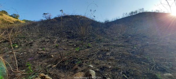 《台中》短暫暖陽｜龍井竹坑南寮步道O繞202601042976449