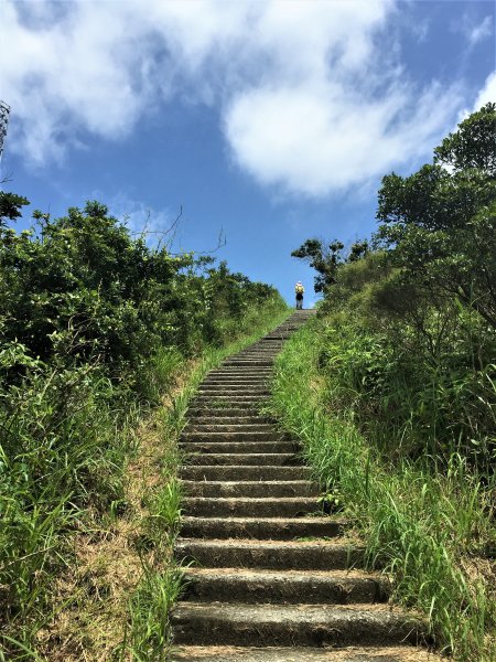 香港山系 － 九龍 • 新界934536