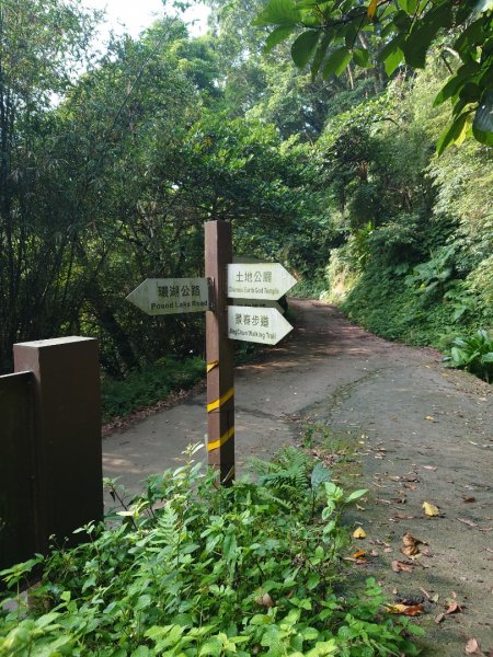 桃園石門山登山步道2208344