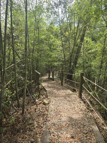 20260516 小百岳-南投後尖山3056229