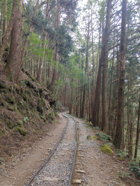 2026.02.14－特富野古道3013703