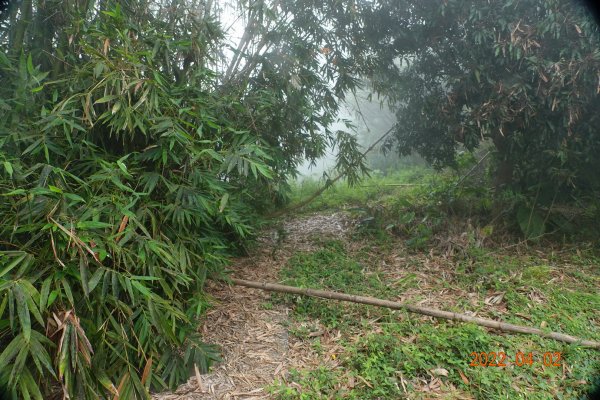 臺南 龍崎 龍船山1663713