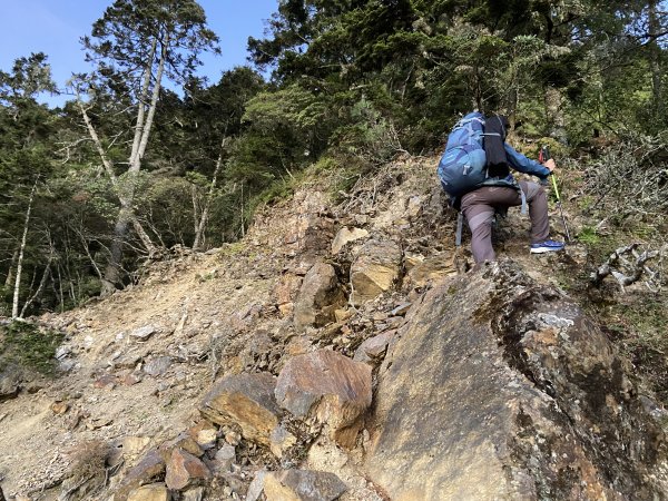 2020-11-28.29 東埔上郡大山下開高山1559160