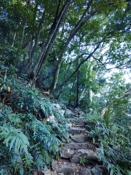 佳保台山-八仙山2910255