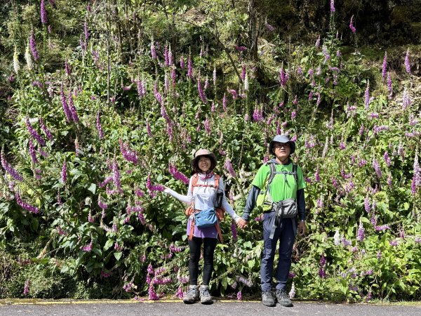 塔塔加楠梓仙溪林道 202506222827105