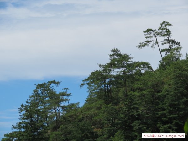 《南投》心靈之旅｜惠蓀林場步道群20171010-212890540