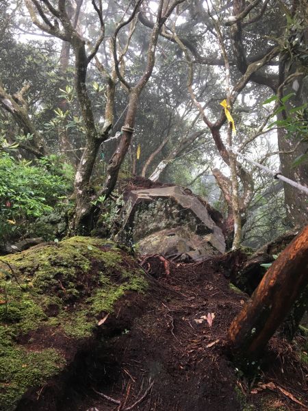 2018/06/18高台山連走島田三山353756